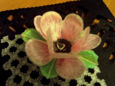 Parchment flower