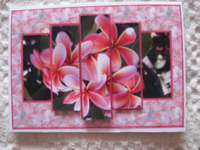 Frangipani Pyramid Card