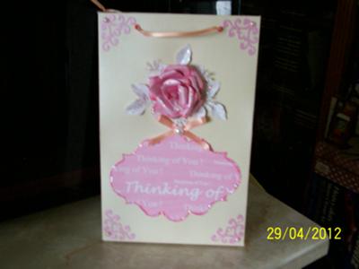 The Pink Collection Special Card Box