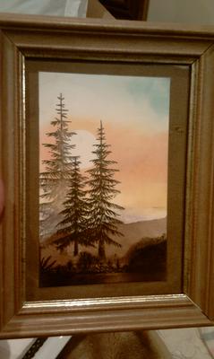 Misty pines at dusk
