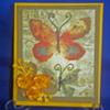 Yellow Butterfly